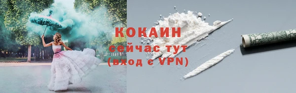дживик Аркадак