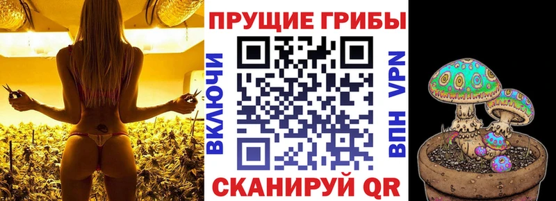 Галлюциногенные грибы мицелий  blacksprut онион  Белая Холуница 